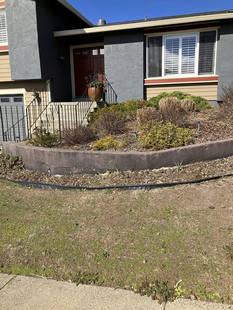 Affordable yard maintenance for year-round maintenance across Dixon, CA - Phil Gray Landscaping & Construction