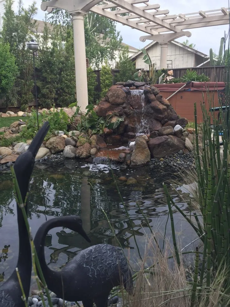 Local garden landscaping in Dixon, CA by Phil Gray Landscaping & Construction