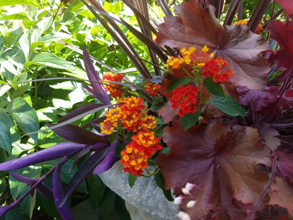 Local landscape design with custom design in Philadelphia, PA by Philadelphia Garden Inc.