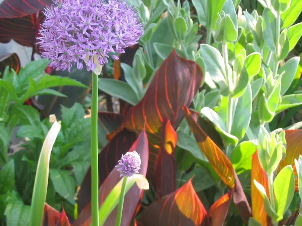 Affordable landscaping services near you in Philadelphia, PA by Philadelphia Garden Inc.