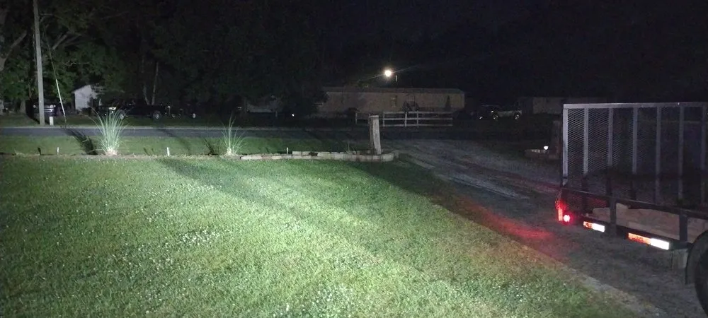 Affordable yard cleanup service in Greenville, NC by Philbilly Lawn Care