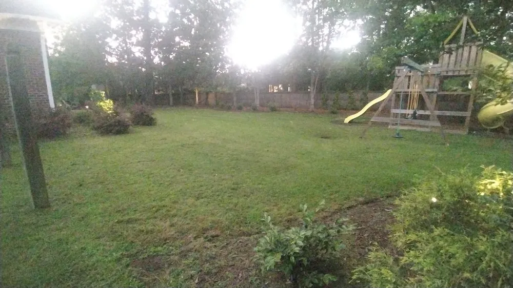 Reliable yard maintenance in Greenville, NC - Philbilly Lawn Care