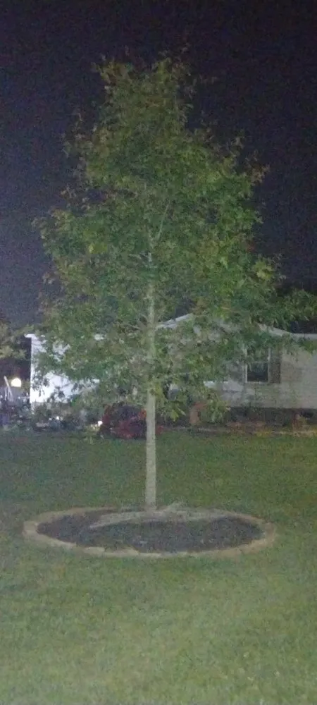 Trusted residential landscaping experts serving Greenville, NC - Philbilly Lawn Care