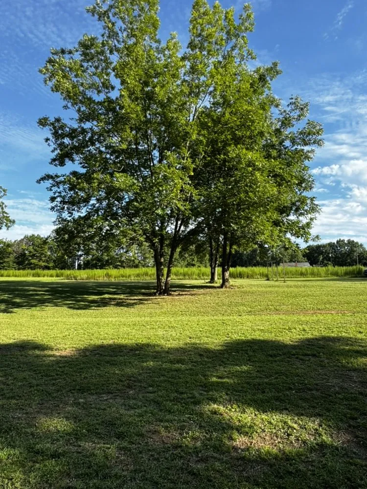 Affordable lawn care service experts serving Frisco City, AL - Philen Lawn Care