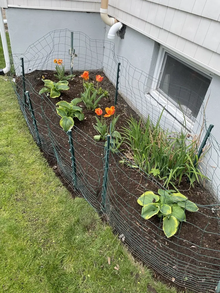 Expert yard maintenance in Newton, MA - Philip Jepsen & sons