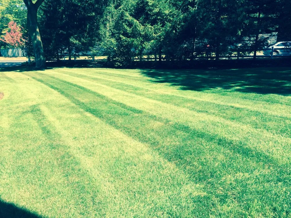 Top-rated yard cleanup service for homes in Newton, MA by Philip Jepsen & sons