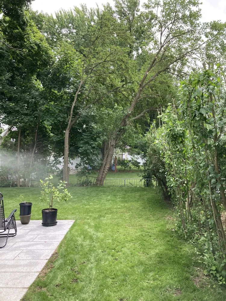 Professional landscape installation with custom design in Newton, MA by Philip Jepsen & sons