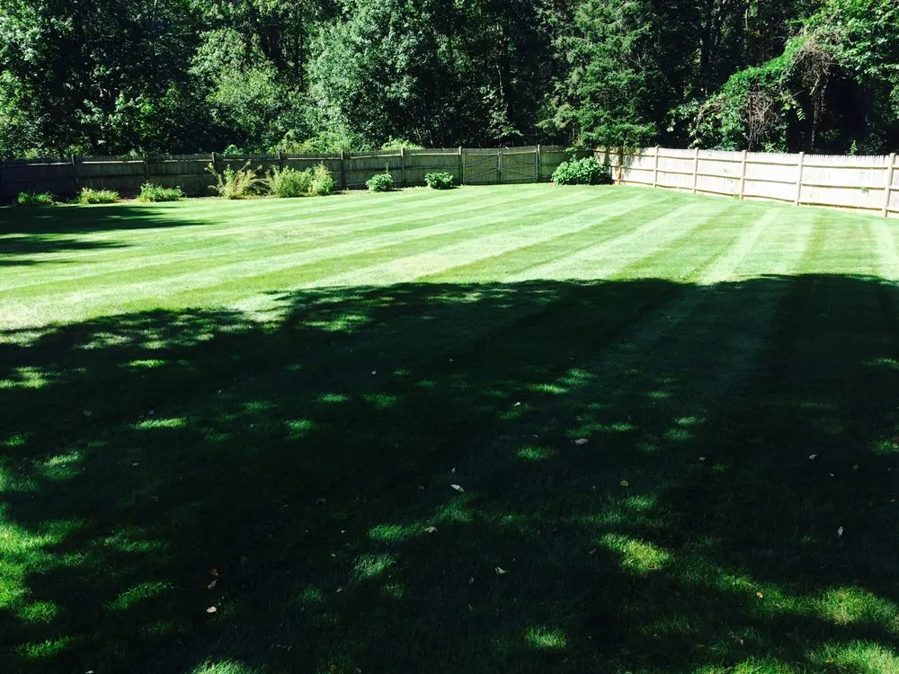 Affordable yard maintenance in Newton, MA - Philip Jepsen & sons