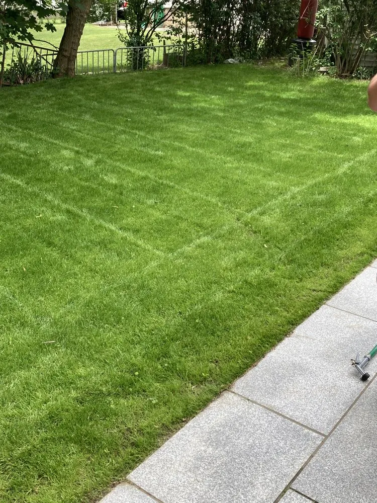 Affordable landscape installation in Newton, MA by Philip Jepsen & sons