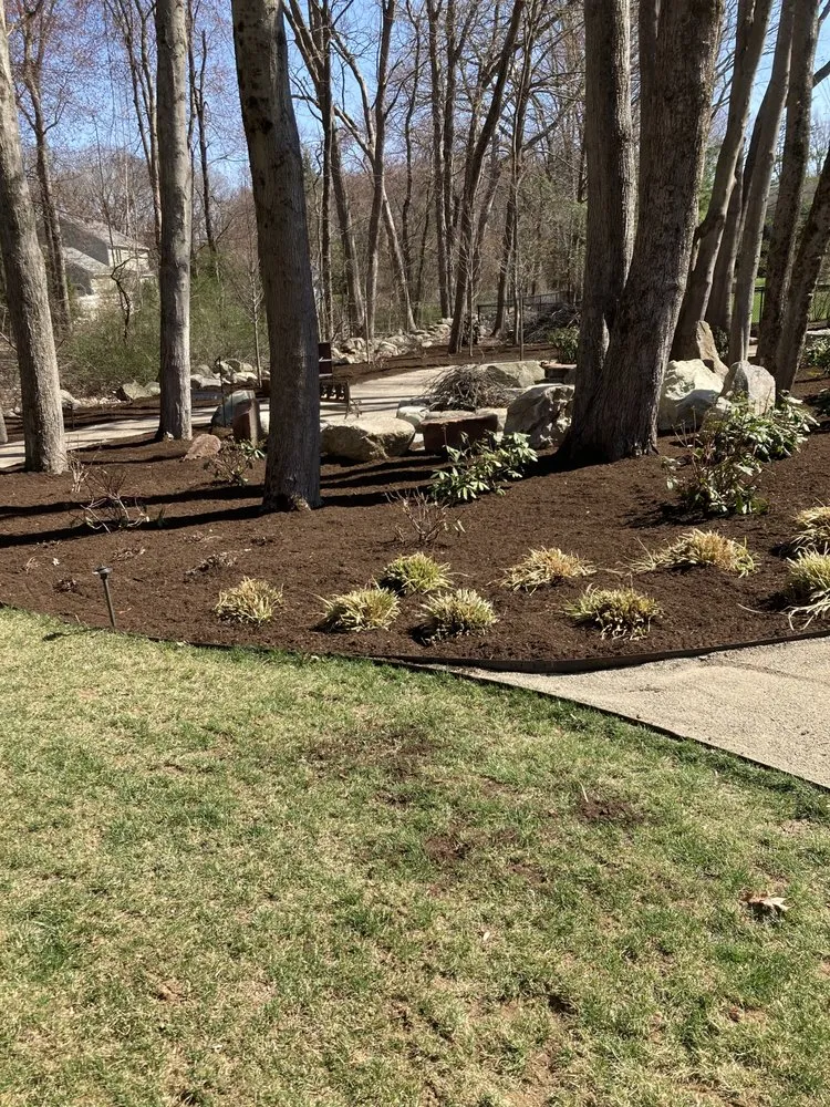 Professional yard cleanup service in Newton, MA - Philip Jepsen & sons