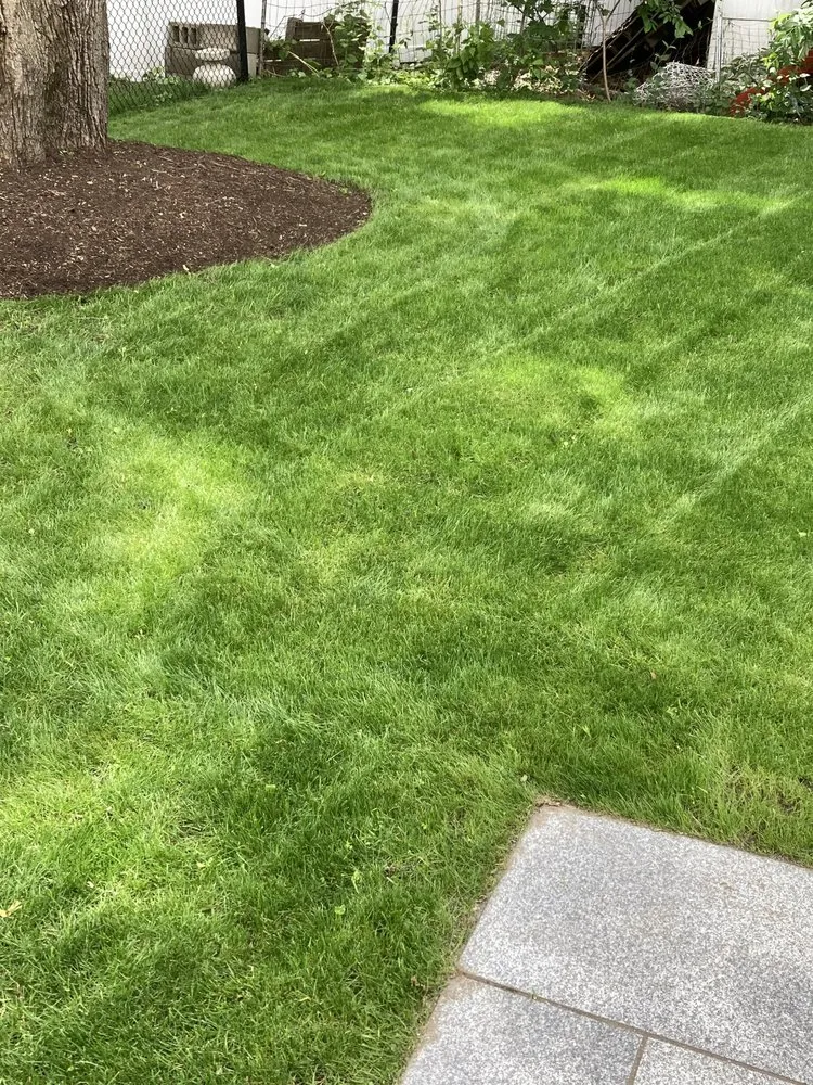 Custom residential landscaping in Newton, MA - Philip Jepsen & sons