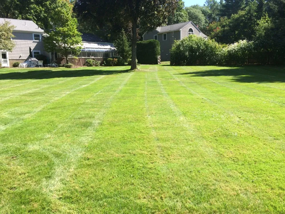 Reliable lawn mowing service in Newton, MA - Philip Jepsen & sons