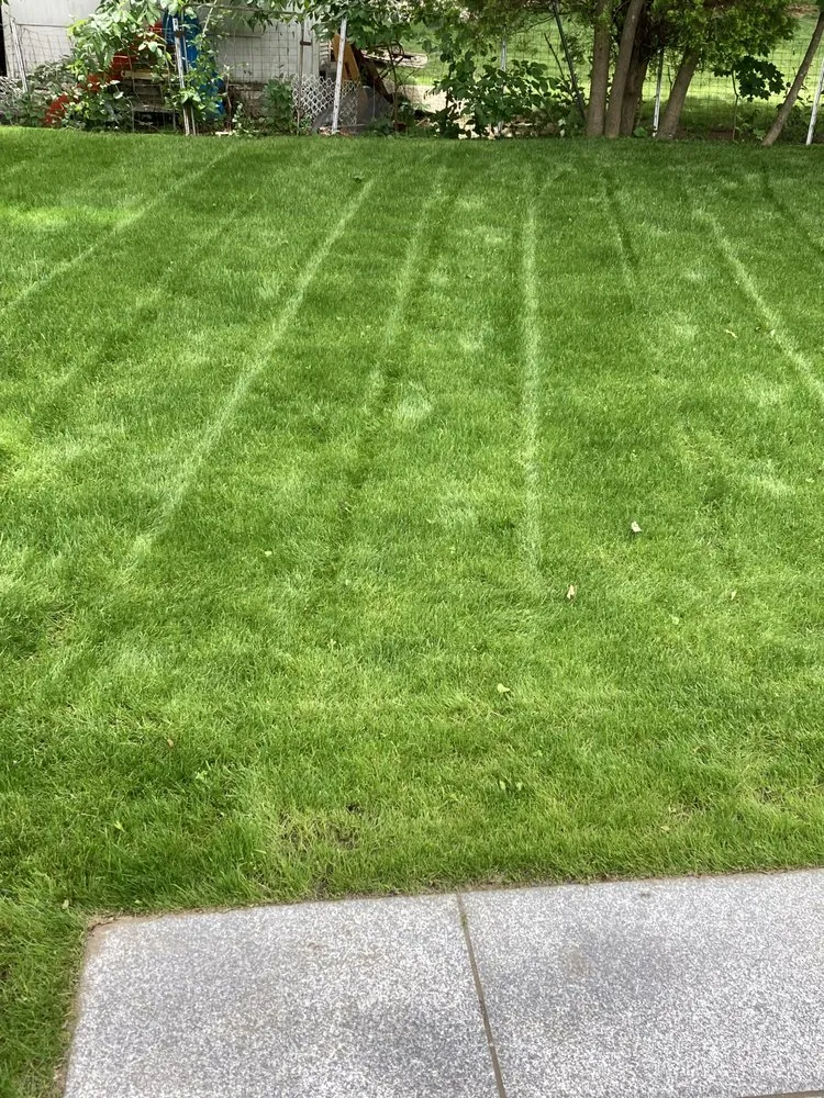 Top-rated outdoor landscaping in Newton, MA by Philip Jepsen & sons