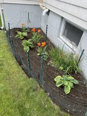 Philip Jepsen & sons Logo