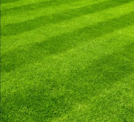 Philippians Lawn Care