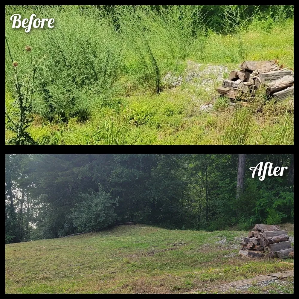 Trusted residential landscaping experts serving Sevierville, TN - Philip's Lawn Services