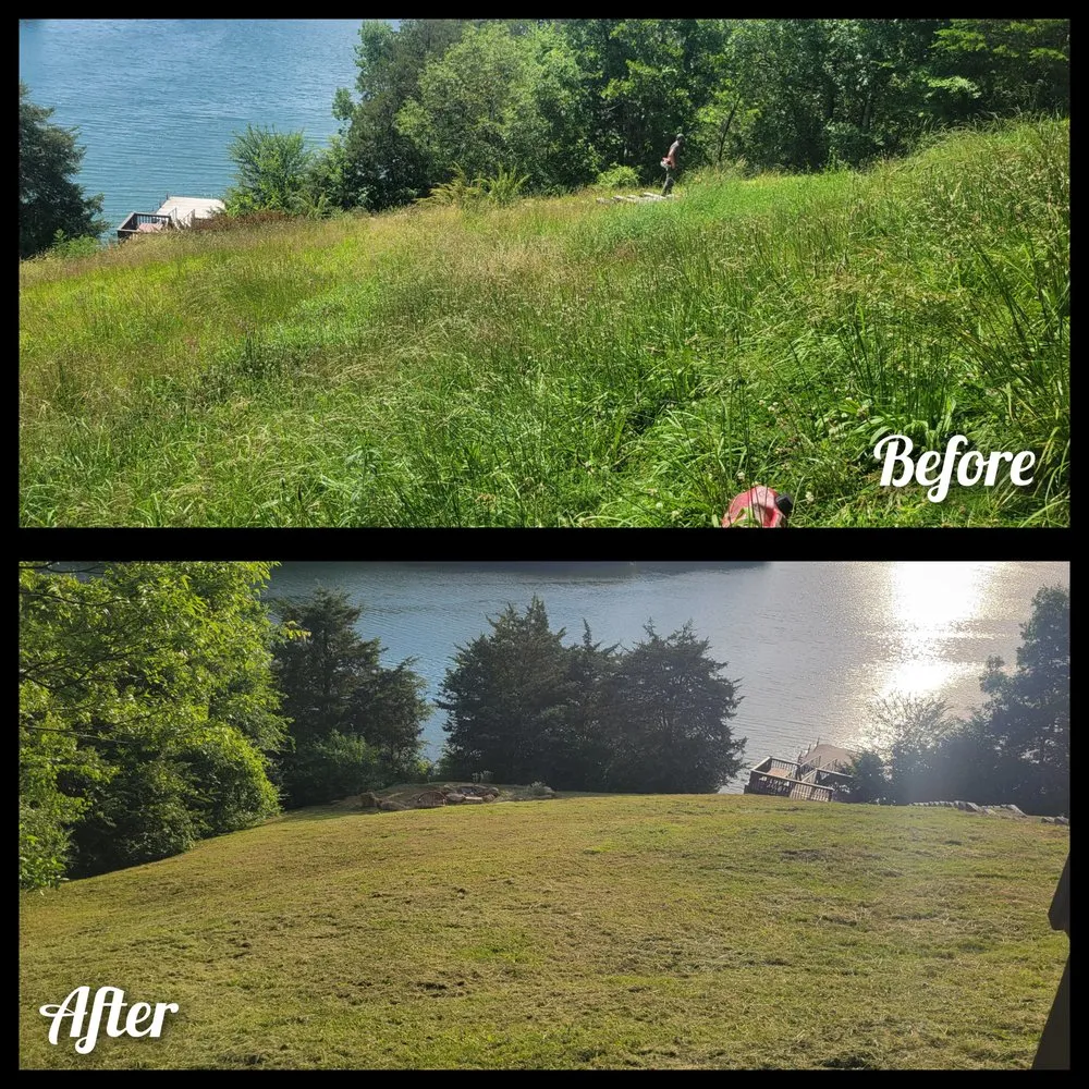 Custom outdoor landscaping for year-round maintenance across Sevierville, TN - Philip's Lawn Services