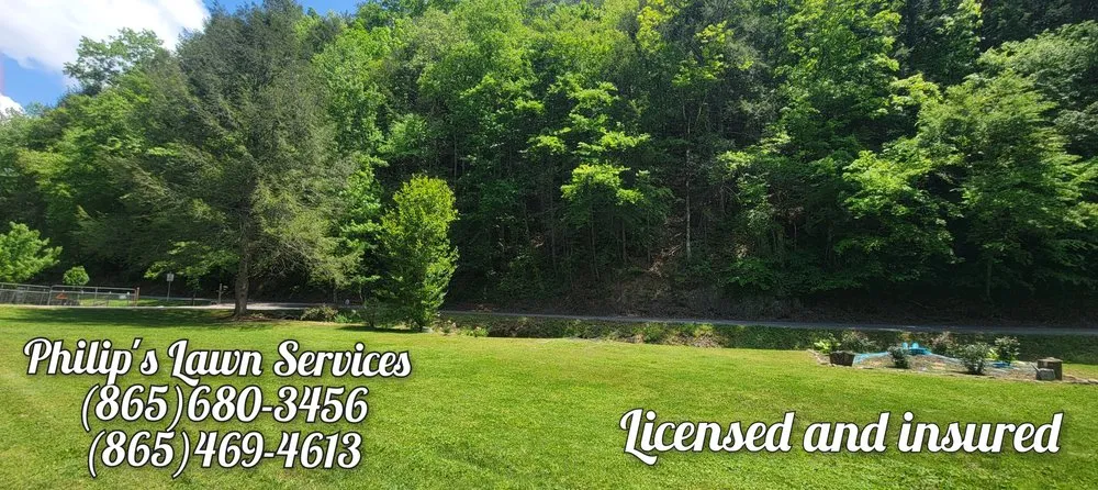 Top-rated landscaping services experts serving Sevierville, TN - Philip's Lawn Services