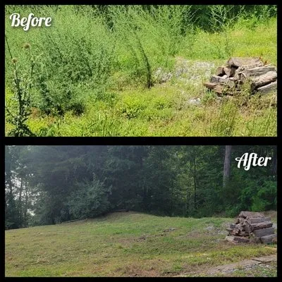 Philip's Lawn Services Logo