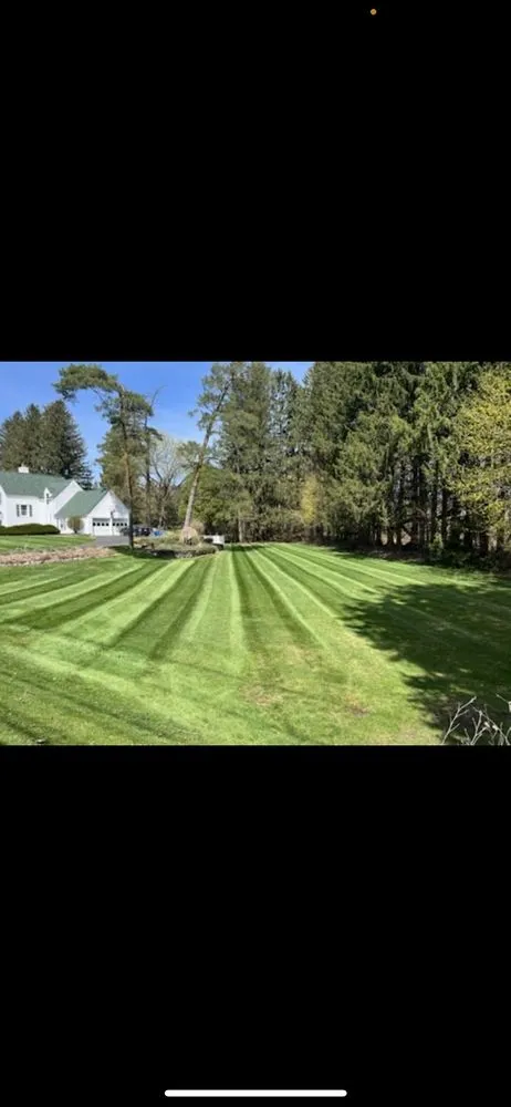 Trusted lawn care service experts serving Utica, NY - Philips Property Maintenance
