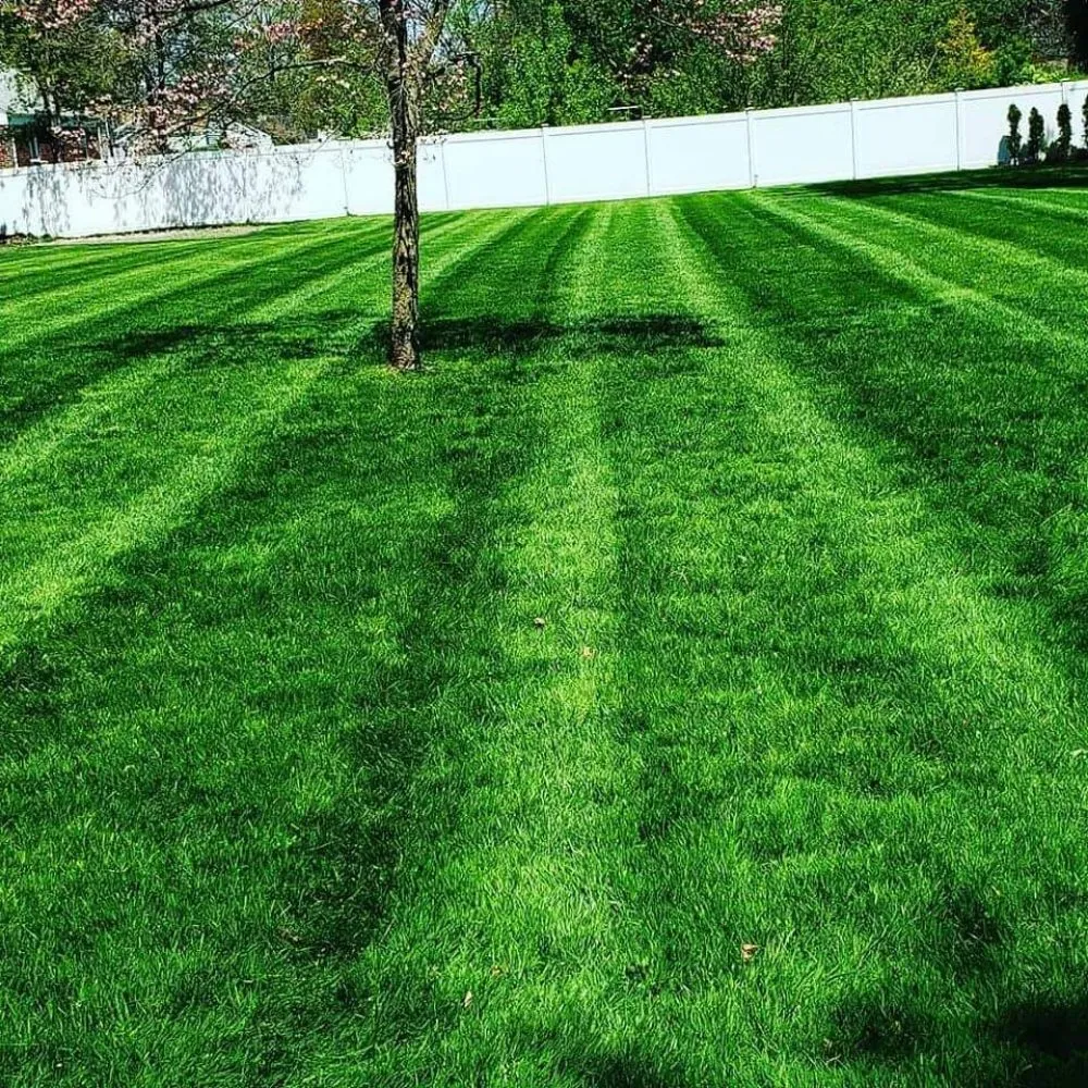 Custom landscape design experts serving Somerset, NJ - Phillips & Sons Landscaping