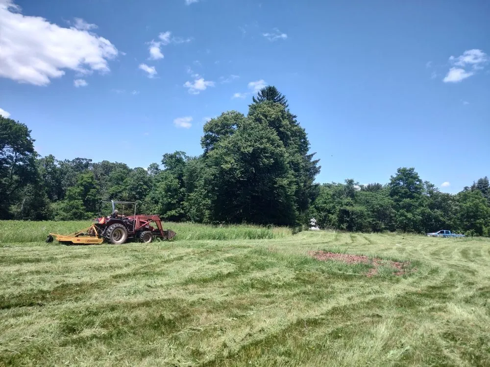 Expert outdoor landscaping for year-round maintenance across Somerset, NJ - Phillips & Sons Landscaping