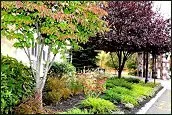 Professional residential landscaping experts serving Somerset, NJ - Phillips & Sons Landscaping