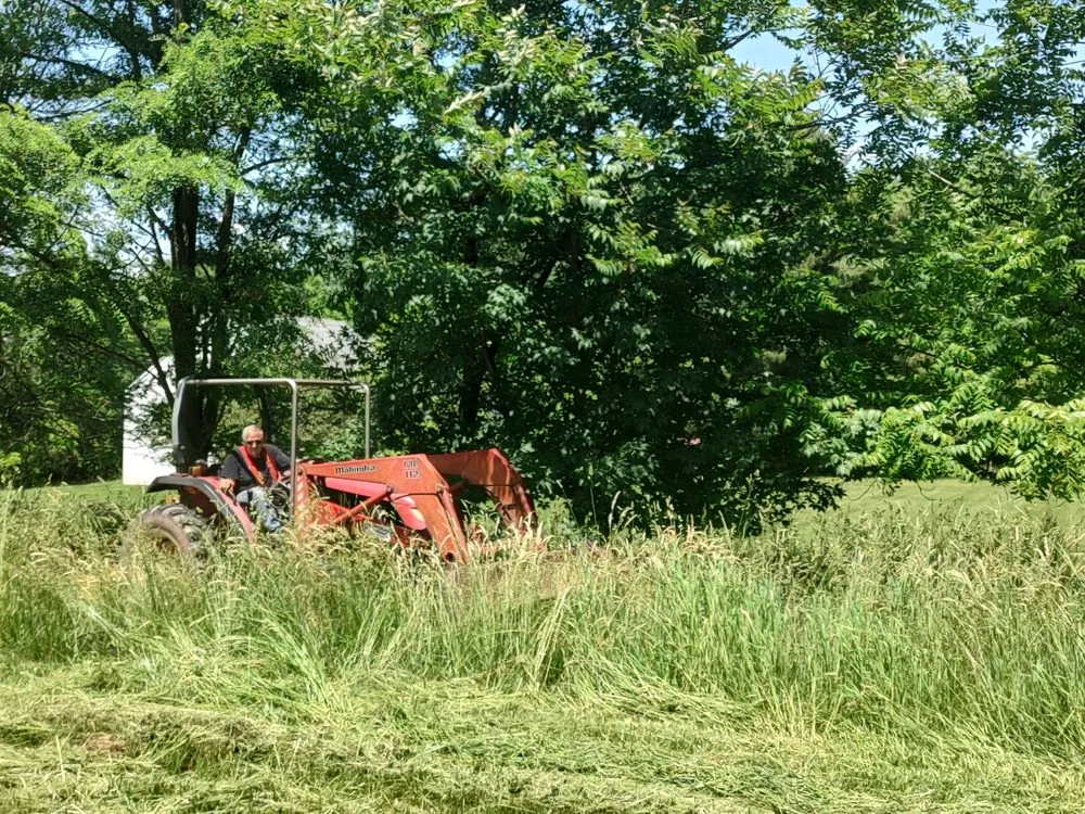 Local landscape design for outdoor upgrades in Somerset, NJ by Phillips & Sons Landscaping