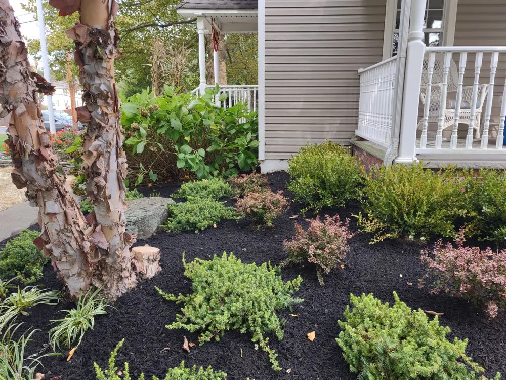 Reliable yard cleanup service for homes in Somerset, NJ by Phillips & Sons Landscaping