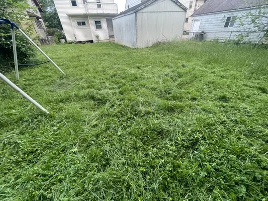 Phillips Emerald Lawns Logo