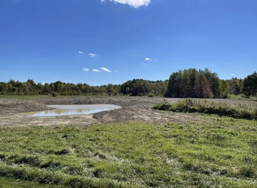 Reliable yard cleanup service for beautiful yards across Chicora, PA - Phillips Excavating