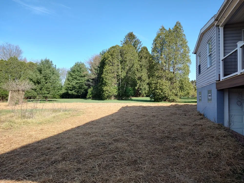 Local landscaping services in Chicora, PA by Phillips Excavating