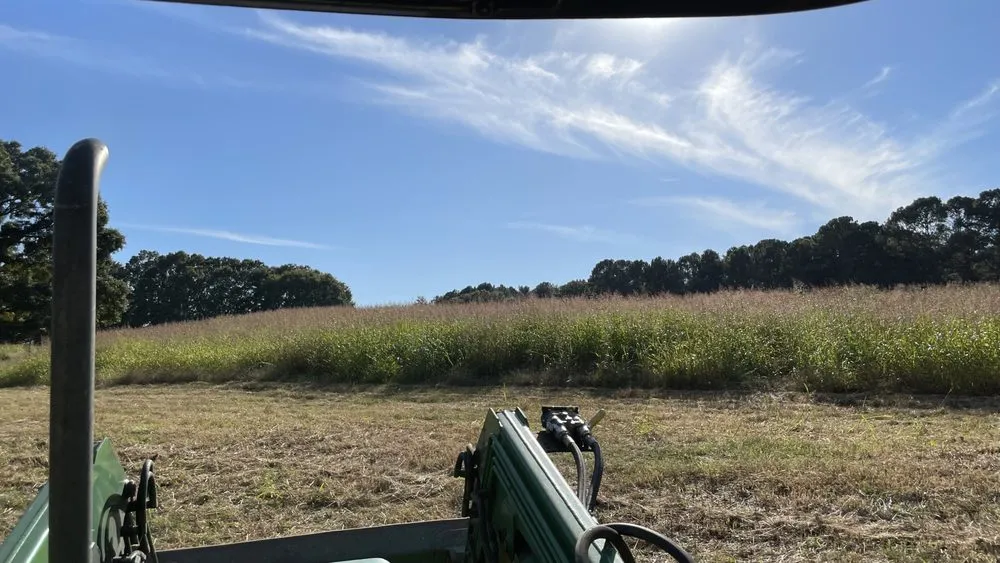 Professional outdoor landscaping in Jefferson, GA - Phillips Farms