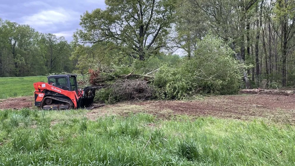 Local landscape design in Jefferson, GA - Phillips Farms