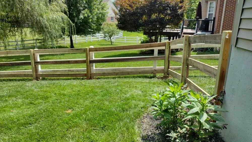Reliable lawn care service experts serving Covington, KY - Phillip's Fencing