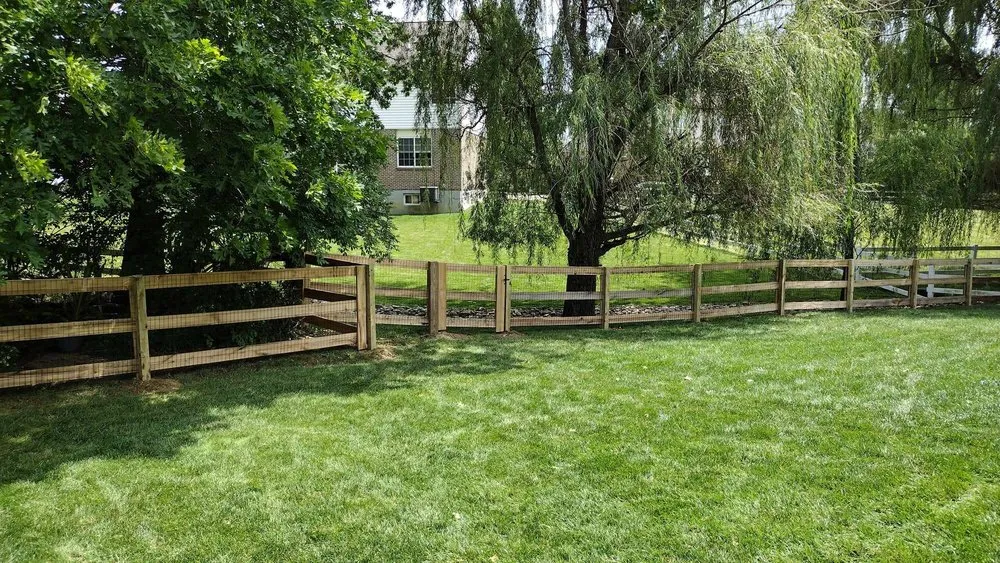 Affordable yard cleanup service experts serving Covington, KY - Phillip's Fencing