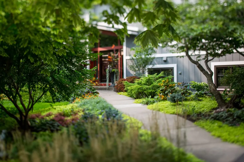 Local lawn care service experts serving Minneapolis, MN - Phillips Garden