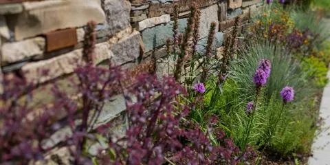 Custom outdoor landscaping in Minneapolis, MN by Phillips Garden