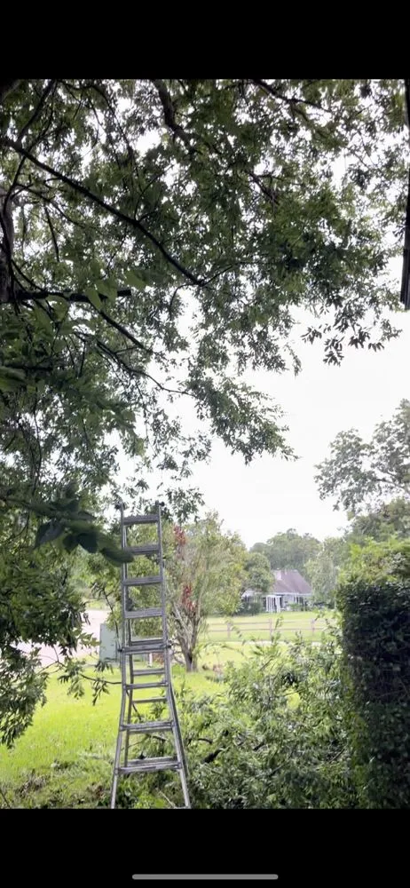 Affordable lawn mowing service in Montgomery, TX - Phillips Home Services