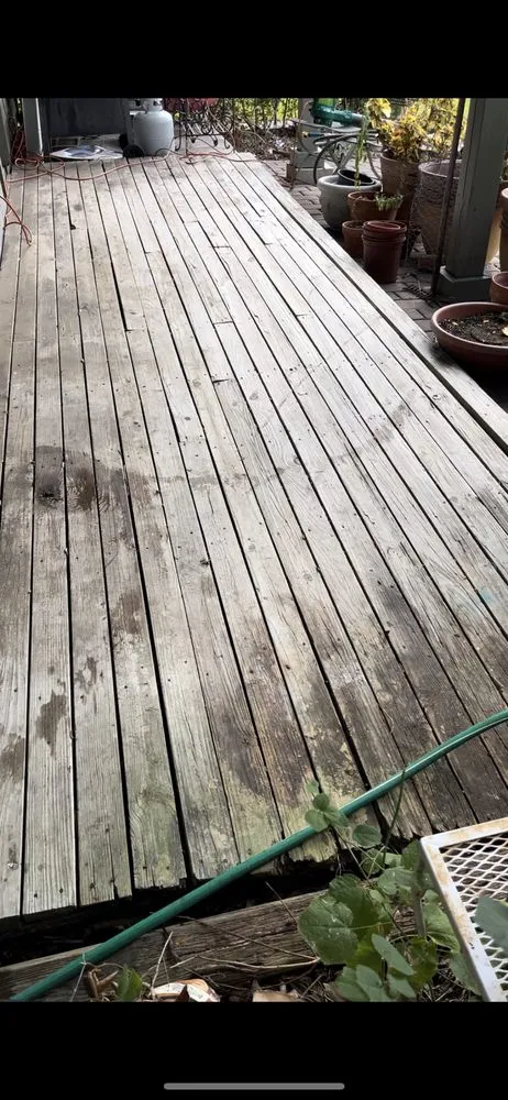 Trusted lawn care service experts serving Montgomery, TX - Phillips Home Services