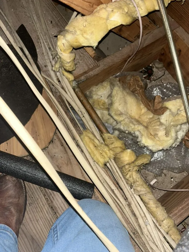 Top-rated landscaping services in Montgomery, TX - Phillips Home Services