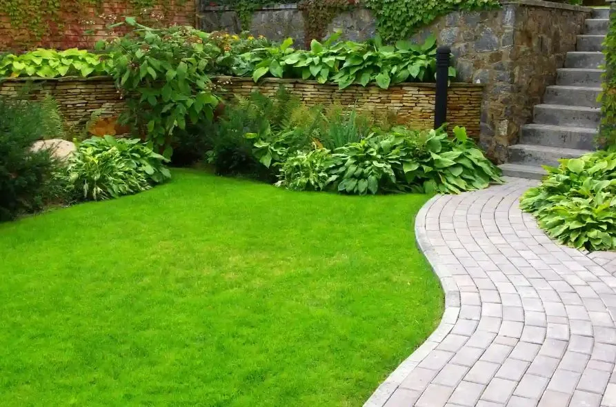 Affordable lawn mowing service in Apopka, FL by Phillip's Irrigation & Landscape Technician