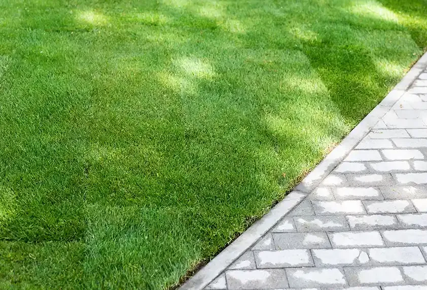 Custom landscape design in Apopka, FL - Phillip's Irrigation & Landscape Technician