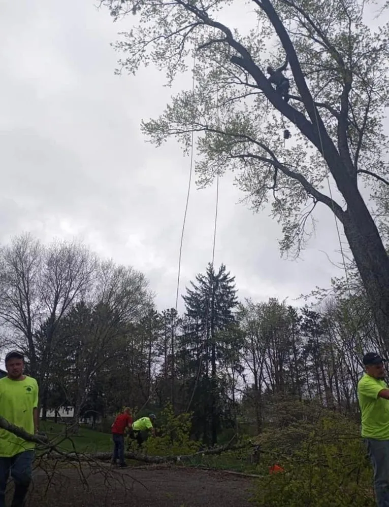 Expert landscape installation experts serving Wintersville, OH - Phillips Landscape Design