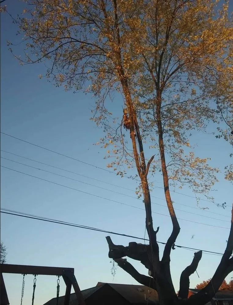 Reliable garden landscaping in Wintersville, OH - Phillips Landscape Design