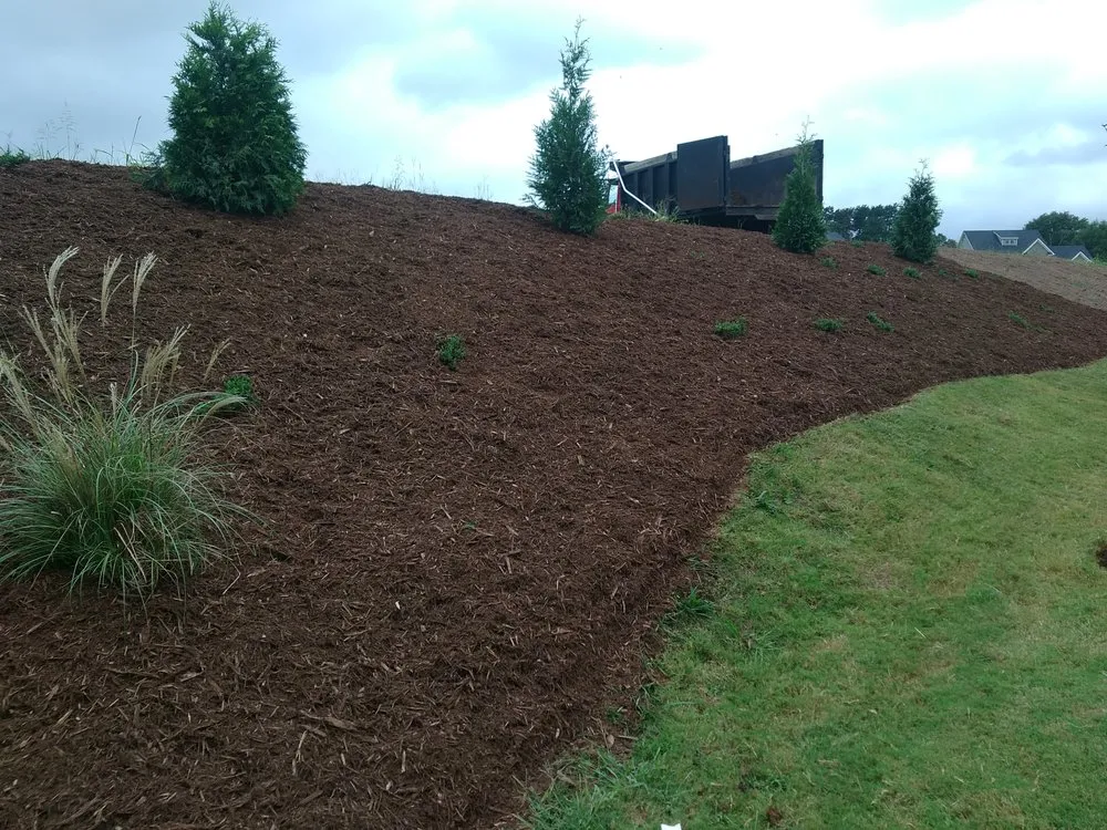 Trusted lawn care service near you across Easley, SC - Phillips Landscaping and More