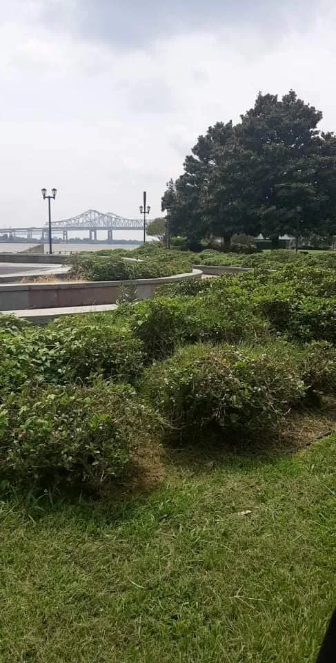 Custom lawn mowing service near you across Hammond, LA - Phillips Landscaping