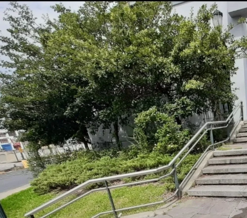 Custom outdoor landscaping in Hammond, LA by Phillips Landscaping