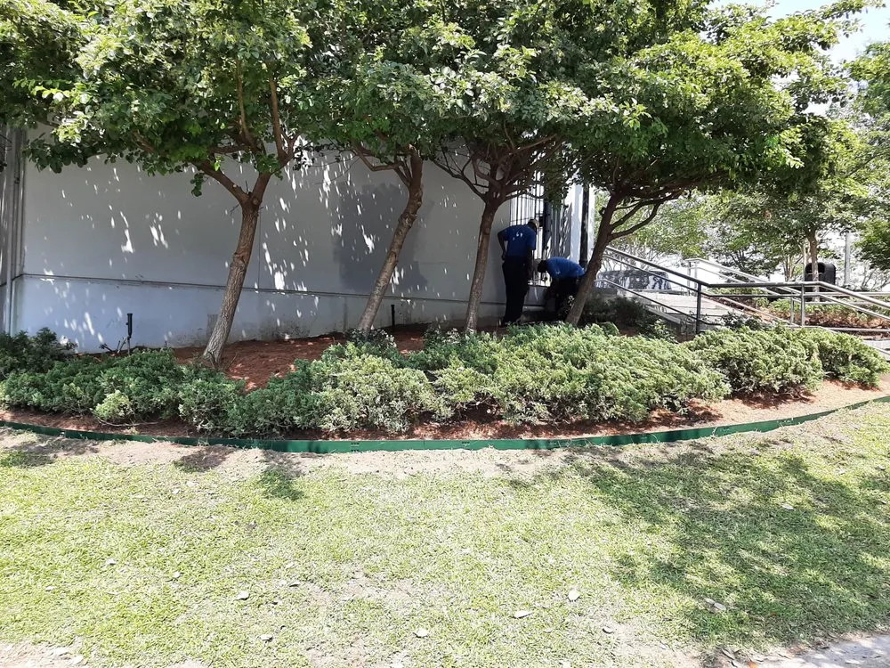 Reliable lawn care service for beautiful yards in Hammond, LA by Phillips Landscaping