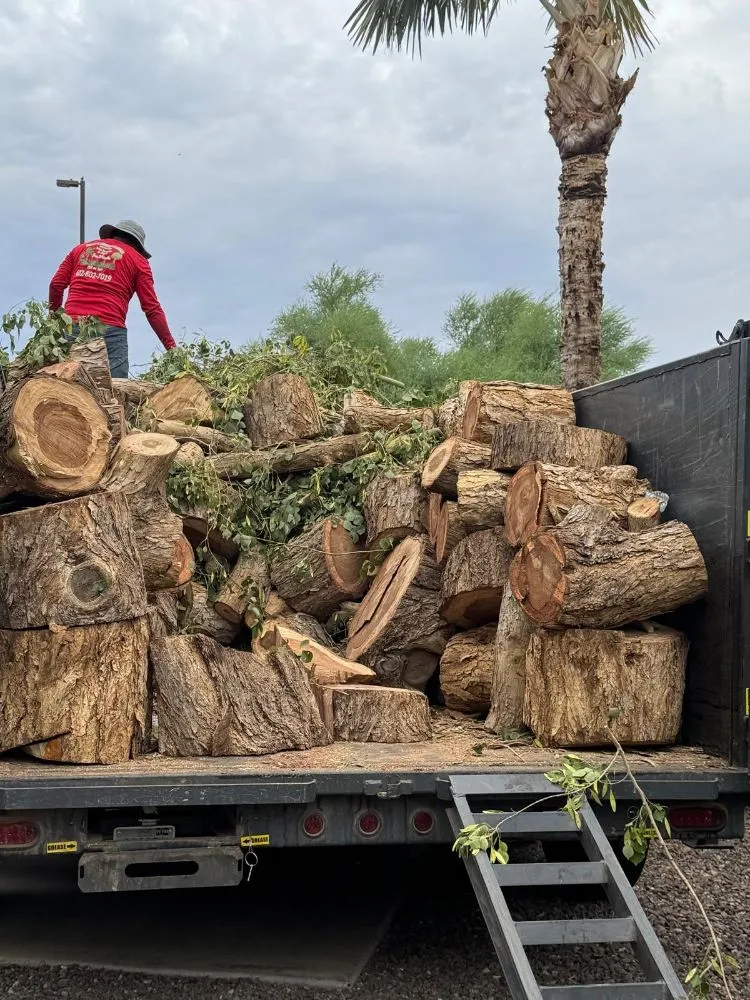 Reliable lawn care service experts serving Chandler, AZ - Phillip's Landscaping Services